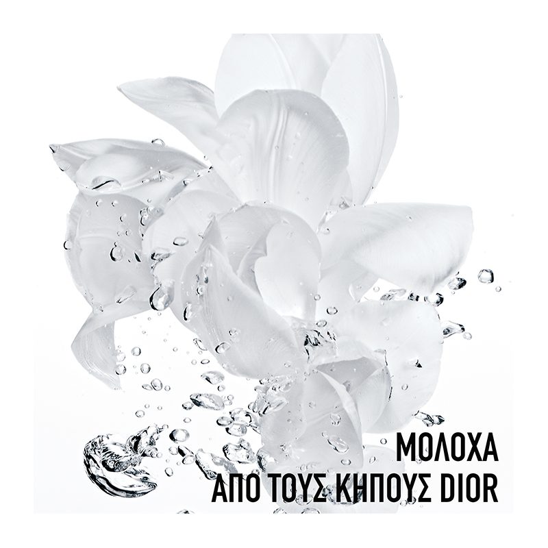 Dior Hydra Life Fresh_5.jpg